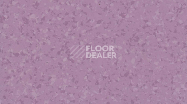 Линолеум Gerflor Mipolam Symbioz 6048 LAVENDER фото 1 | FLOORDEALER